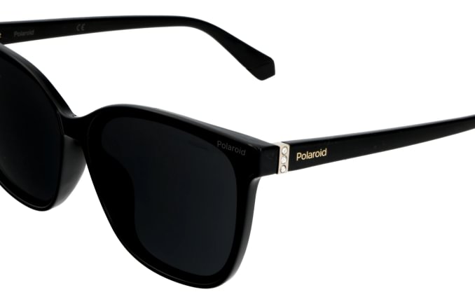 Polaroid PLD4101