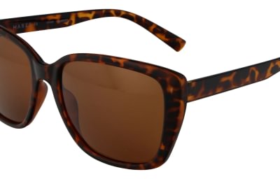 Hares HA5804