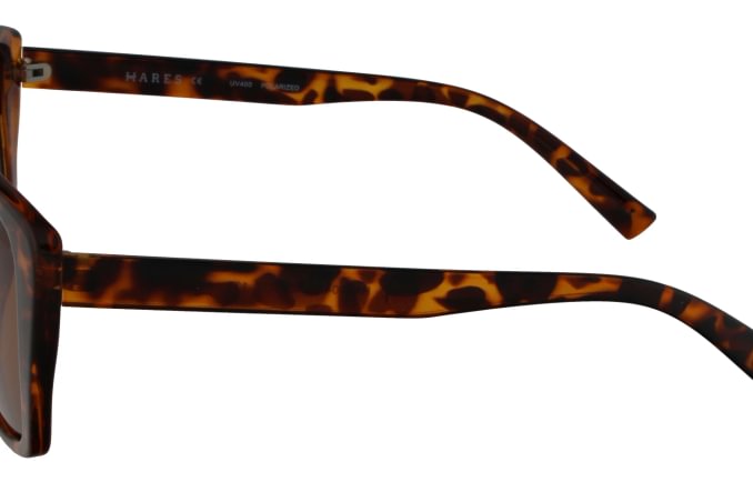 Hares HA5804
