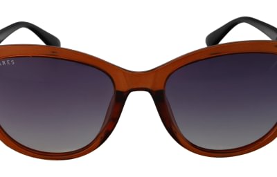 Hares HA5797
