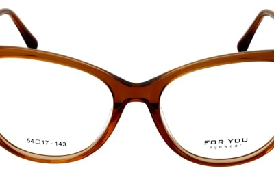 For You FY9113