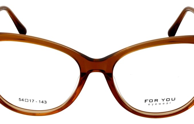 For You FY9113