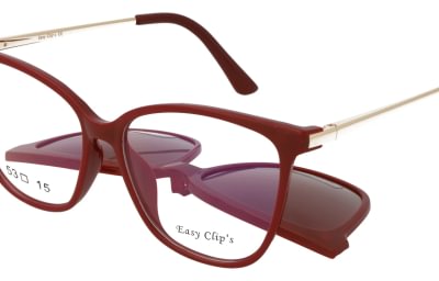 Easy Clip's EC039