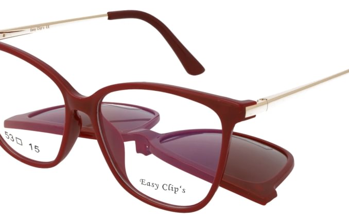 Easy Clip's EC039
