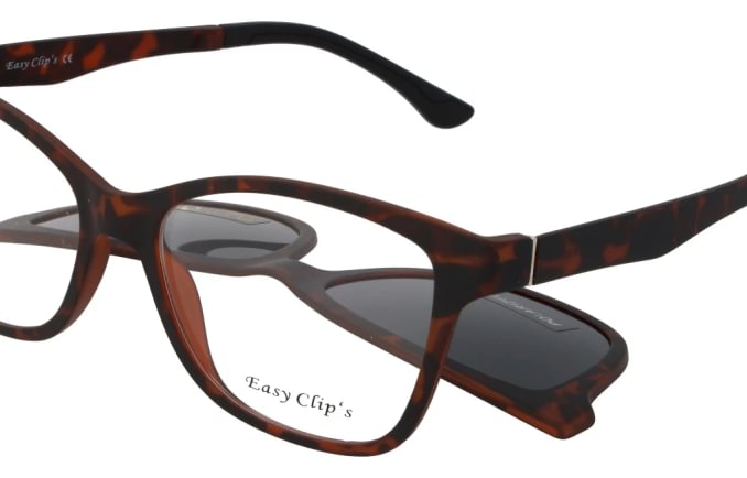 Easy Clip's EC031