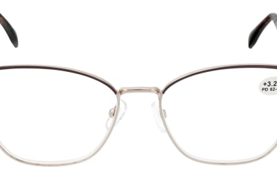 Reading glasses F