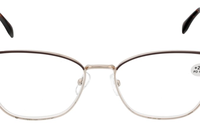Reading glasses F