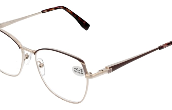 Reading glasses F