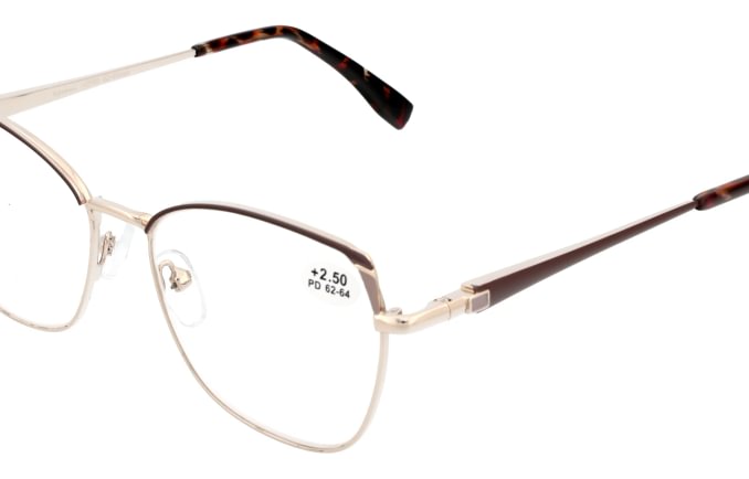 Reading glasses F