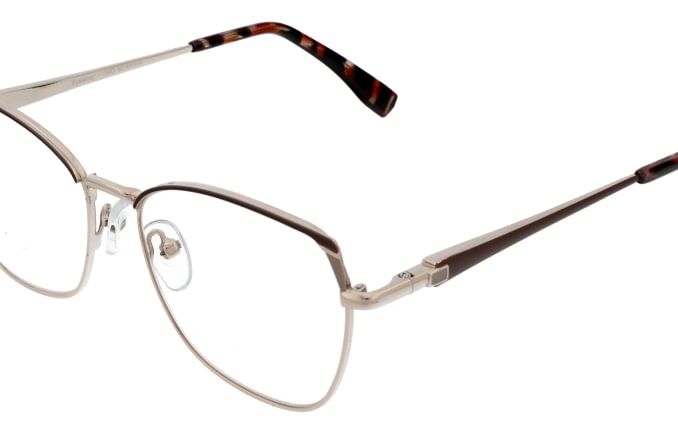 Reading glasses F