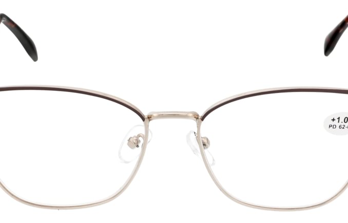 Reading glasses F