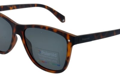 Polaroid PLD6035S