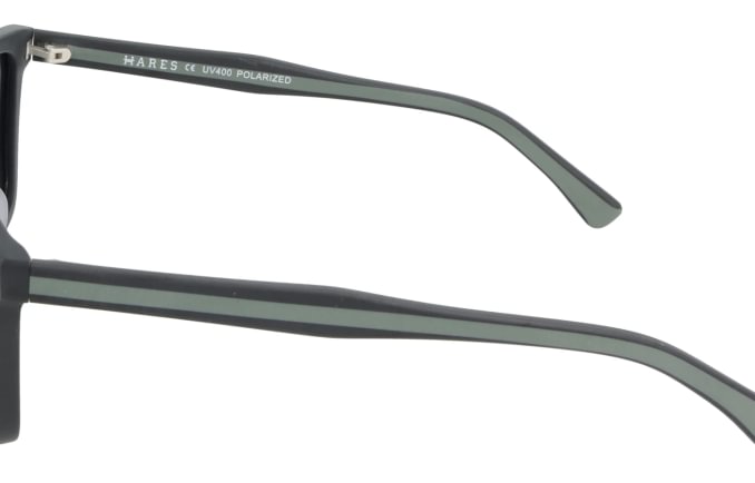 Hares HA5891