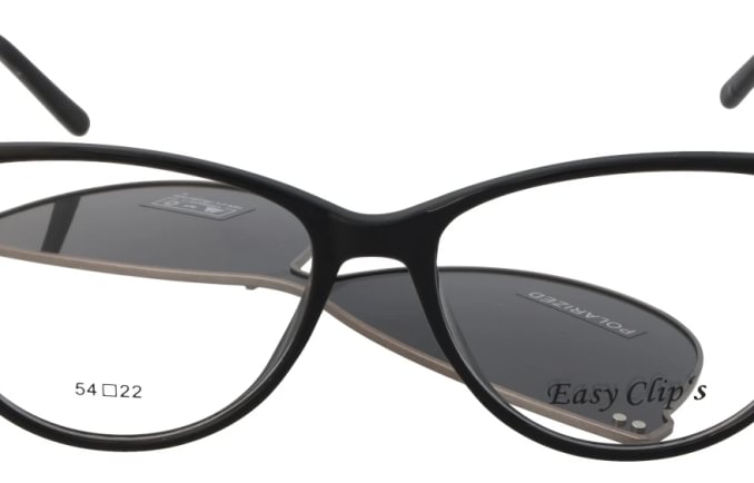 Easy Clip's EC042