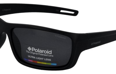 Polaroid P0423