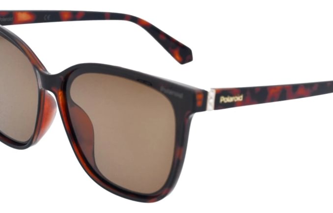 Polaroid PLD4101