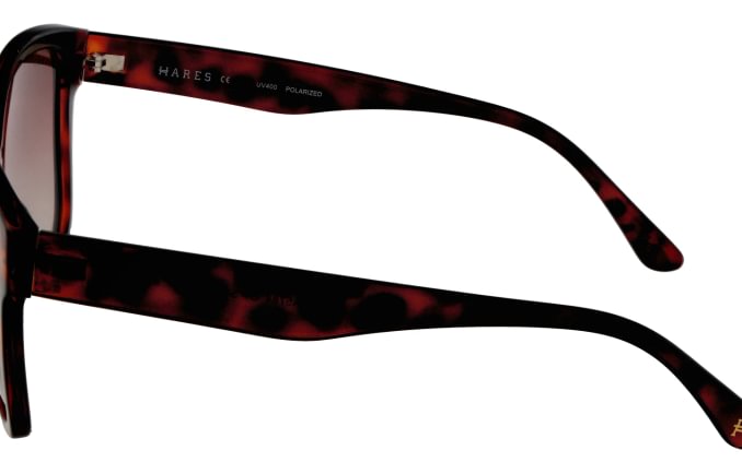 Hares HA5784