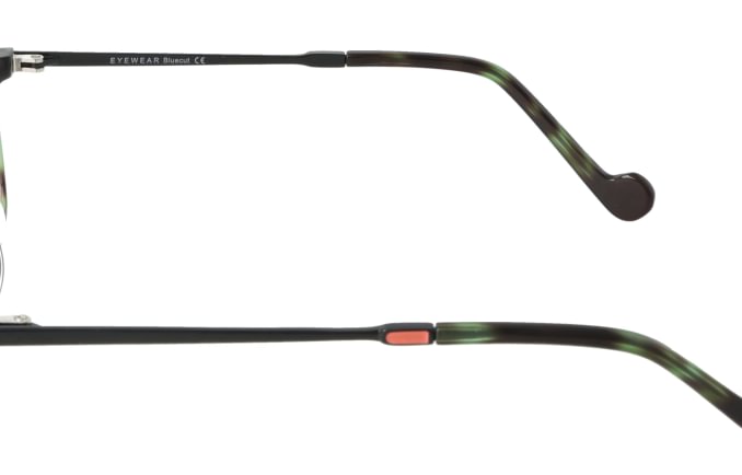 Eyewear Blueb E9218/C2