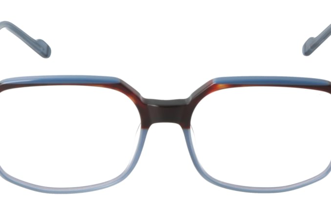 Eyewear Blueb E9217/C2