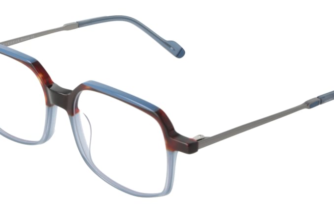 Eyewear Blueb E9217/C2