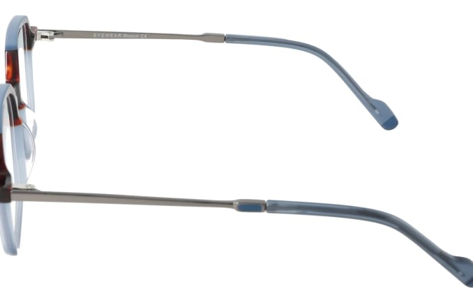 Eyewear Blueb E9217/C2