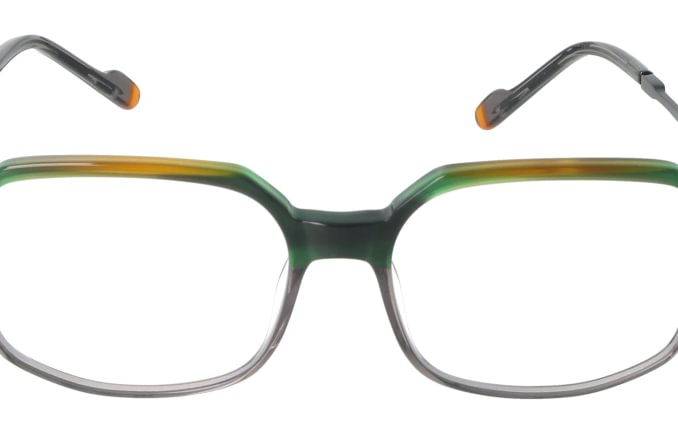 Eyewear Blueb E9217/C1