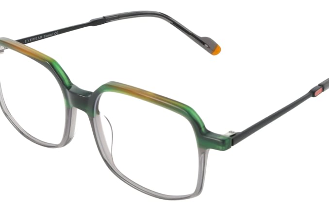 Eyewear Blueb E9217/C1