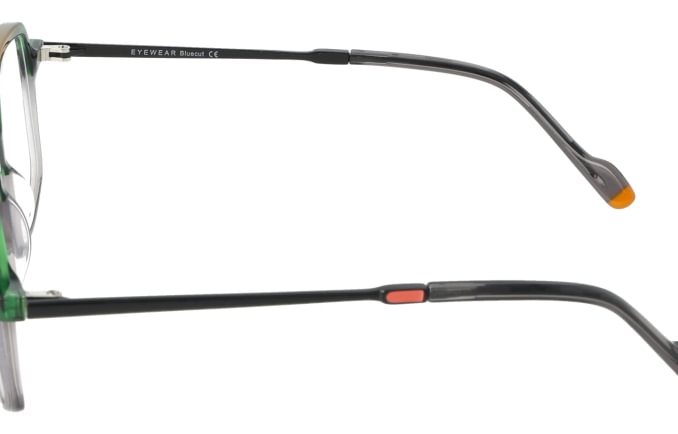 Eyewear Blueb E9217/C1