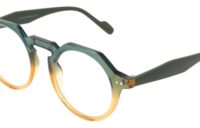 Eyewear Blueb E9213/C3