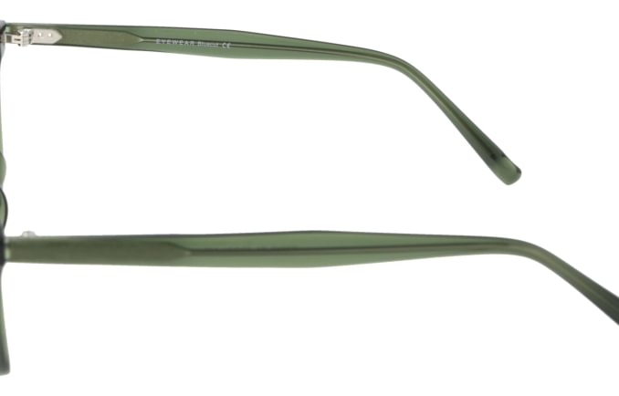 Eyewear Blueb E9210/C1