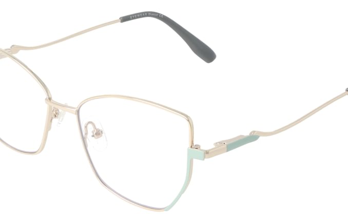 Eyewear Blueb E9221/C3