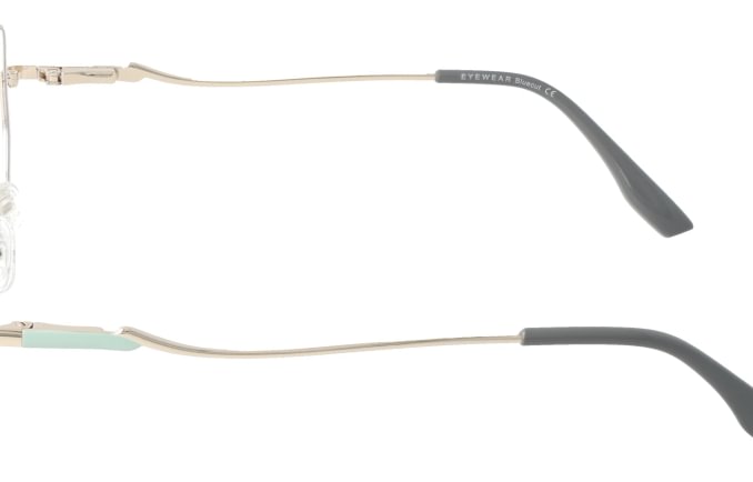 Eyewear Blueb E9221/C3