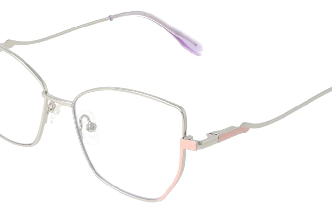Eyewear Blueb E9221/C2
