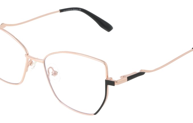 Eyewear Blueb E9221/C1