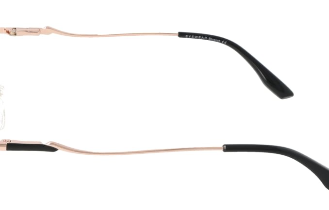 Eyewear Blueb E9221/C1