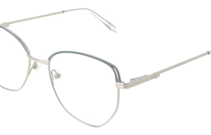 Eyewear Blueb E9220/C1