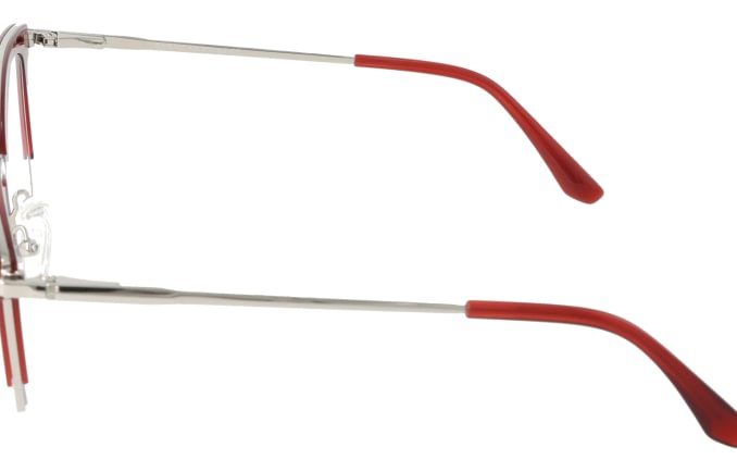 Eyewear Blueb E9219/C2