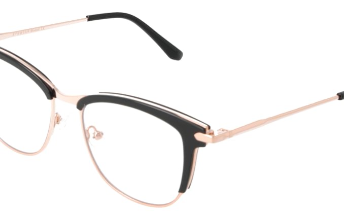 Eyewear Blueb E9219/C1