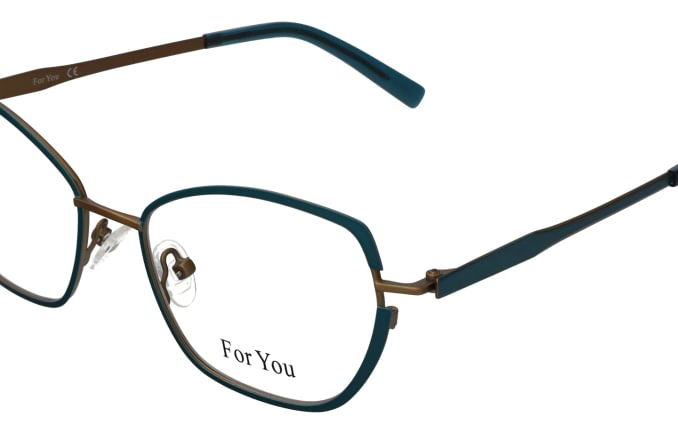 For You FY3383/C1