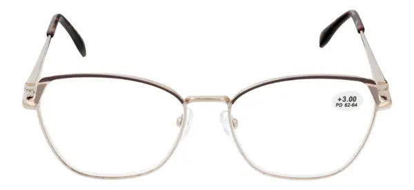 Reading glasses F