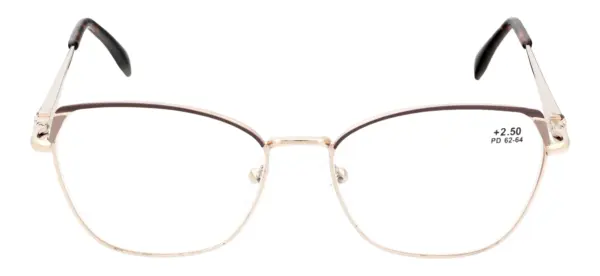 Reading glasses F