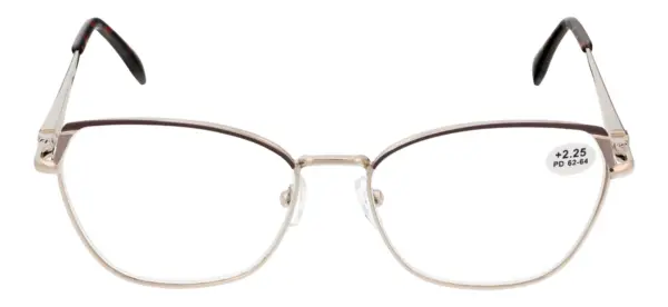 Reading glasses F