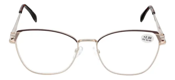 Reading glasses F