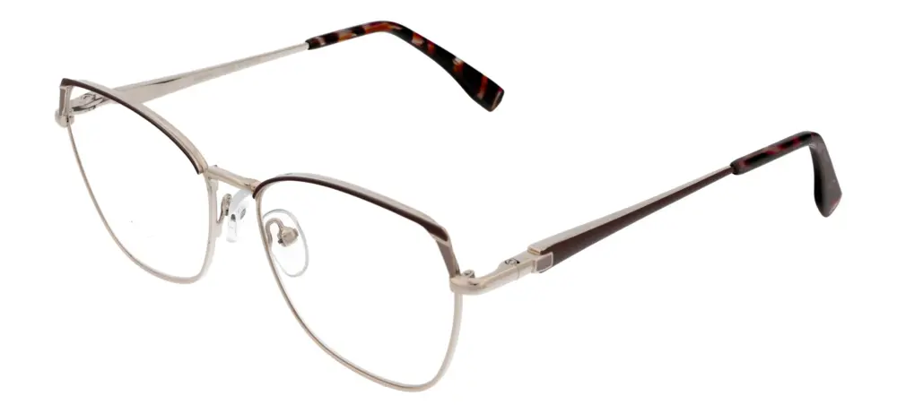 Reading glasses F