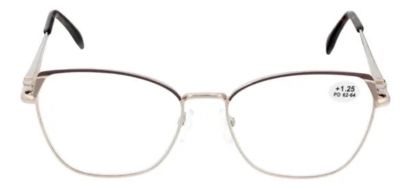 Reading glasses F