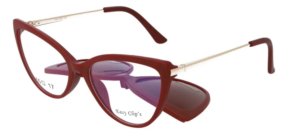 Easy Clip's EC038/C2