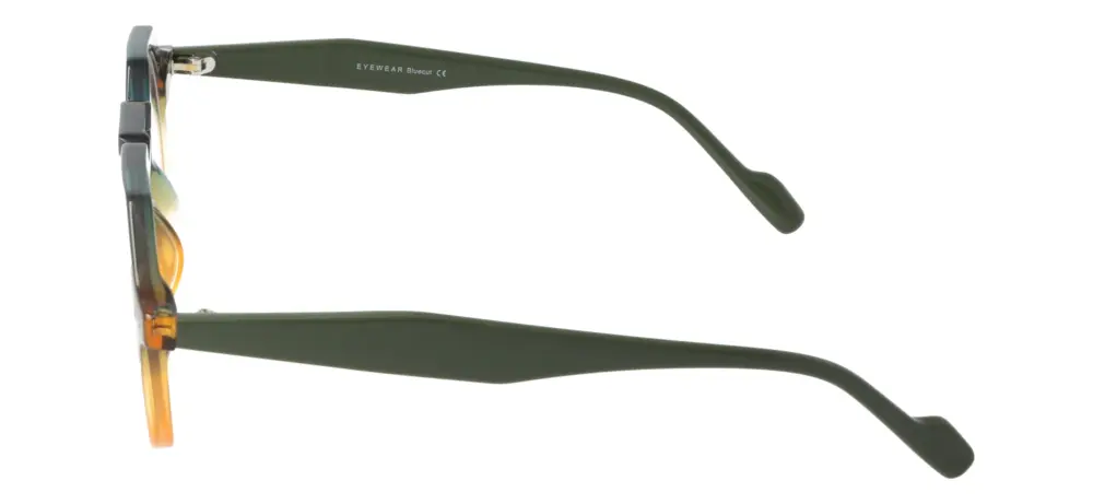 Eyewear Blueb E9213/C3
