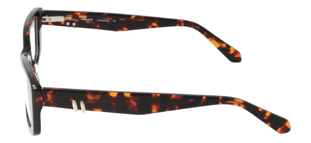 Nicoleta Buchi NB33018/C2